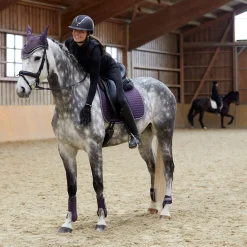 Clearance * Adepto Koulusatulahuopa Blackcurrant Purple