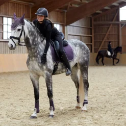 Online * Adepto Yleissatulahuopa Blackcurrant Purple