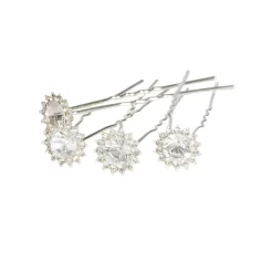 * Arya Neulepipo Tupsulla