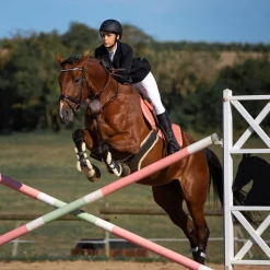 Best * Atlanta Satulavyo Mahapanssarilla Tummanruskea