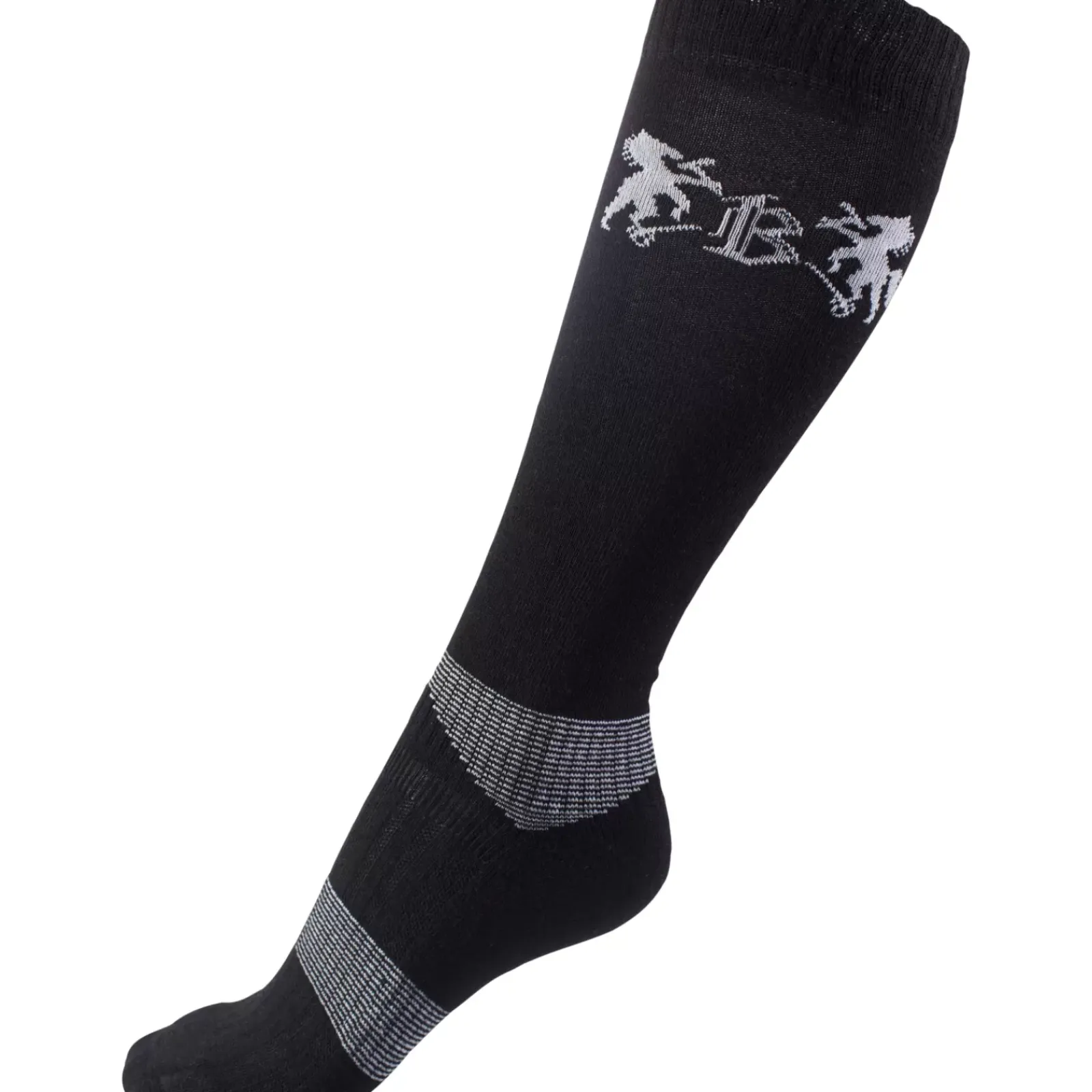 * Ava Lasten Talviratsastushanskat