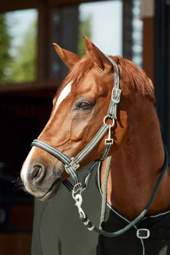 Outlet * Bari Riimu Ja Riimunnaru Climing Ivy Dark Green