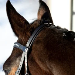 Sale * Bergen Remont -Suitset Ruskea