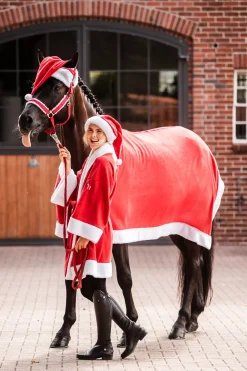 * Carola Naisten Toppaliivi