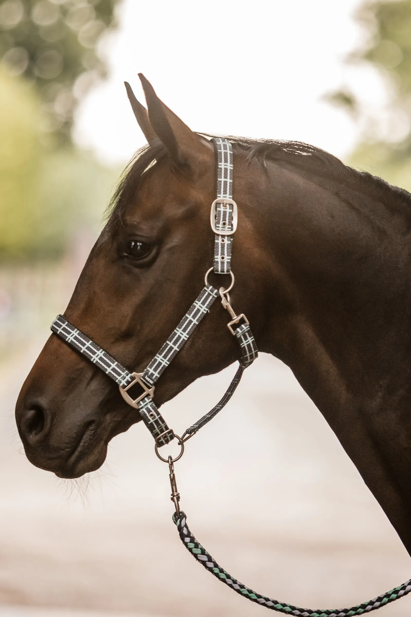 * Dallas Ruudullinen Riimu Neopreenivuorauksella Urban Chic