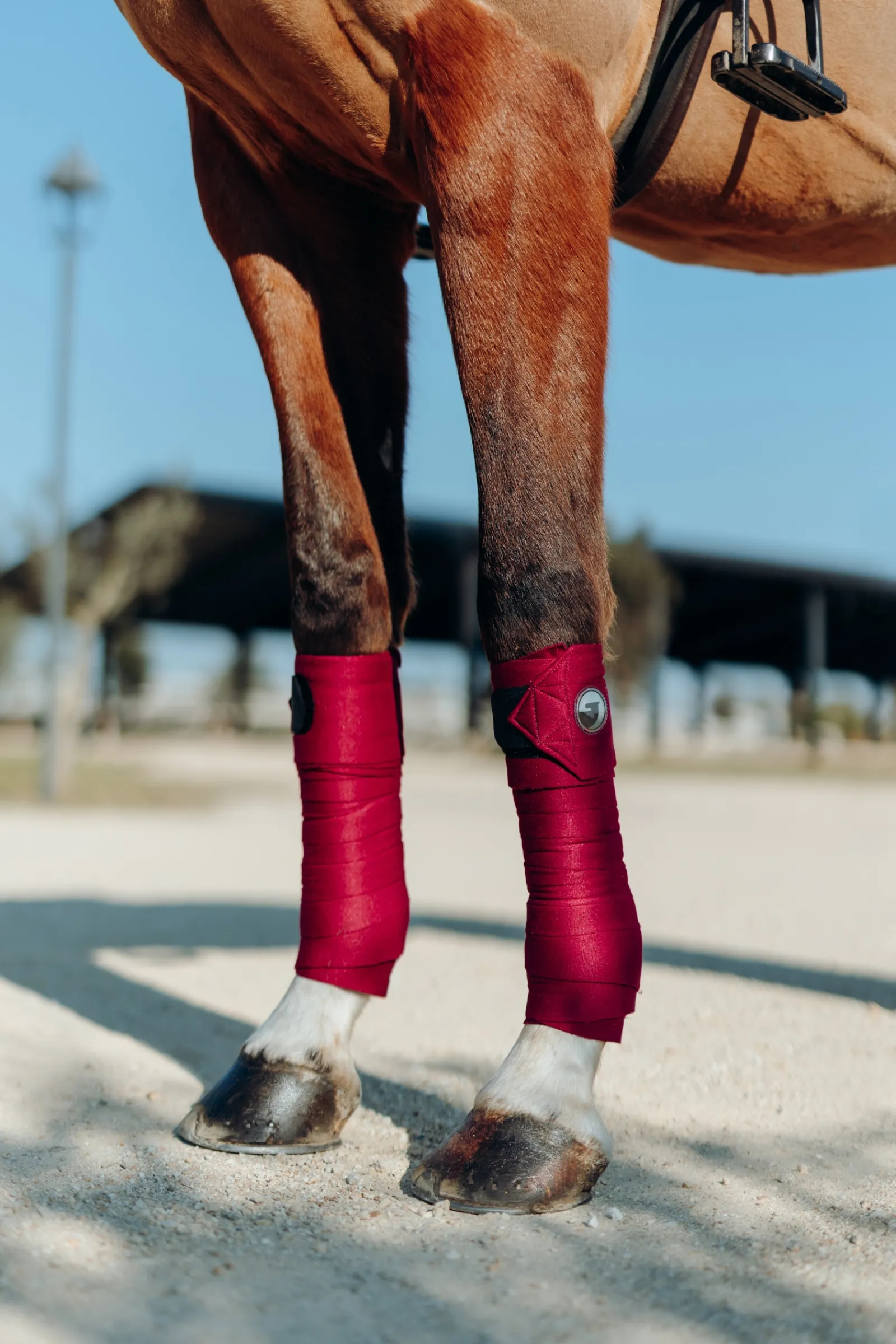 Hot * Ella Pony Pintelit Anemone Dark Pink