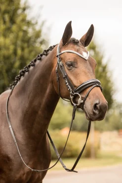 Hot * Grayson Anatomiset Suitset Musta/Musta