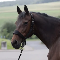 Sale * Graz Riimu Musta