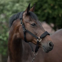 Sale * Graz Riimu Musta