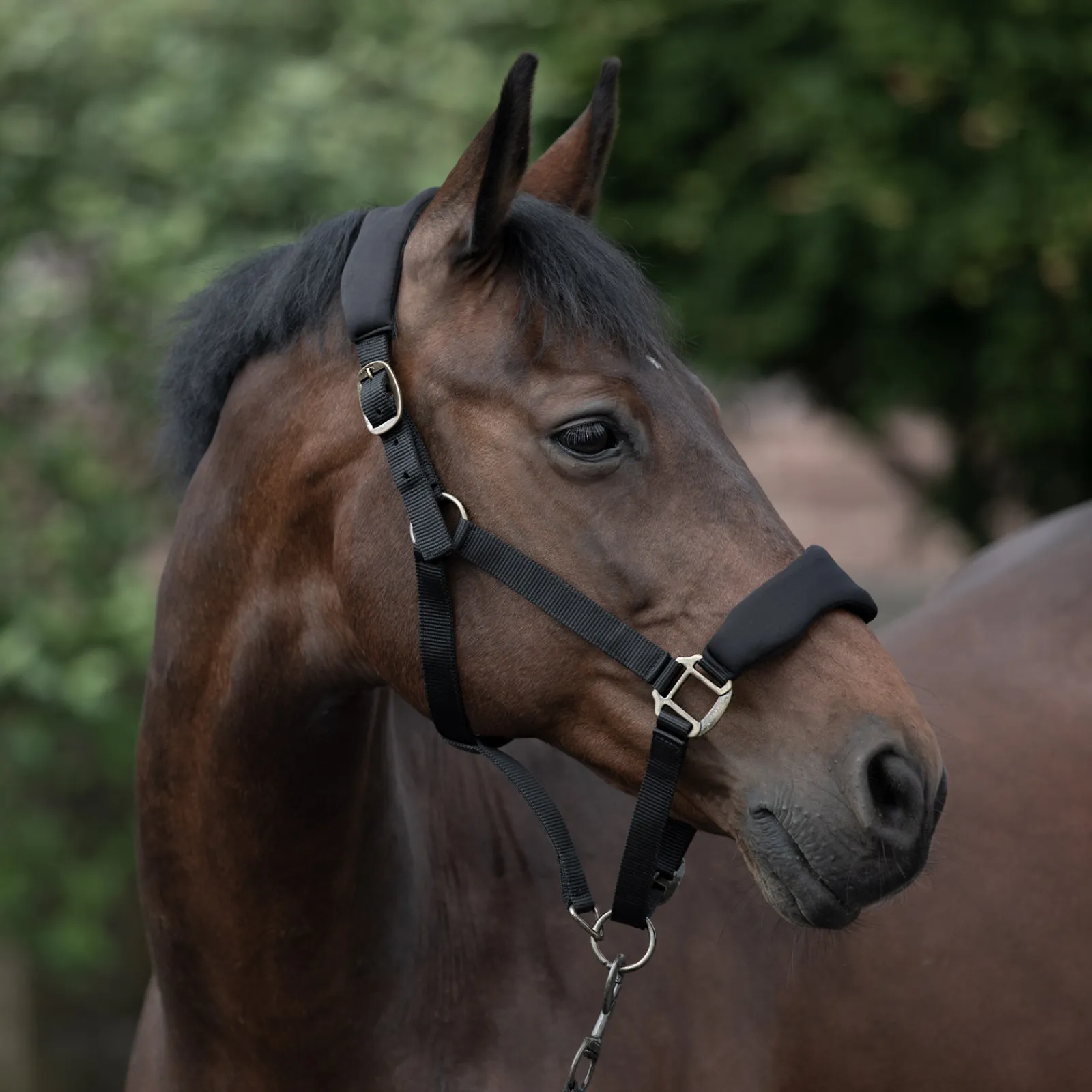 Sale * Graz Riimu Musta