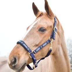 Sale * Hamptons -Riimu Laivastonsininen