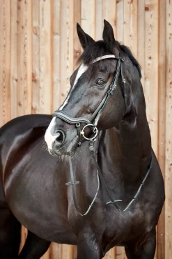 Outlet * Highbury Anatomiset Suitset Kristallisomisteisella Otsapannalla Musta