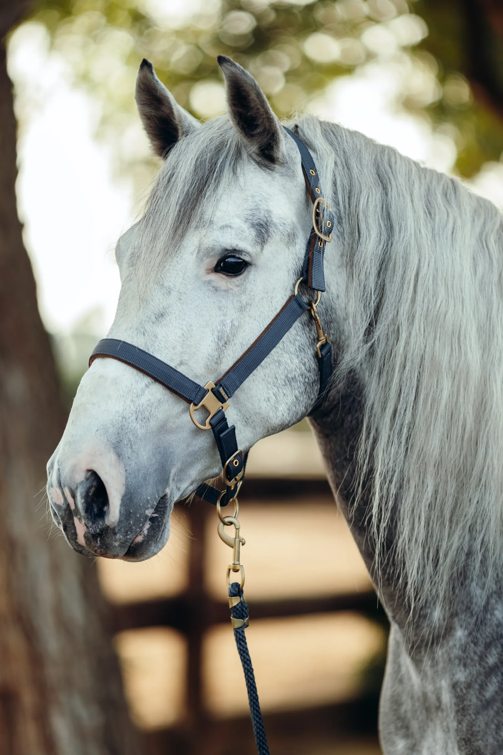 Outlet * Houston Riimu Charcoal Grey