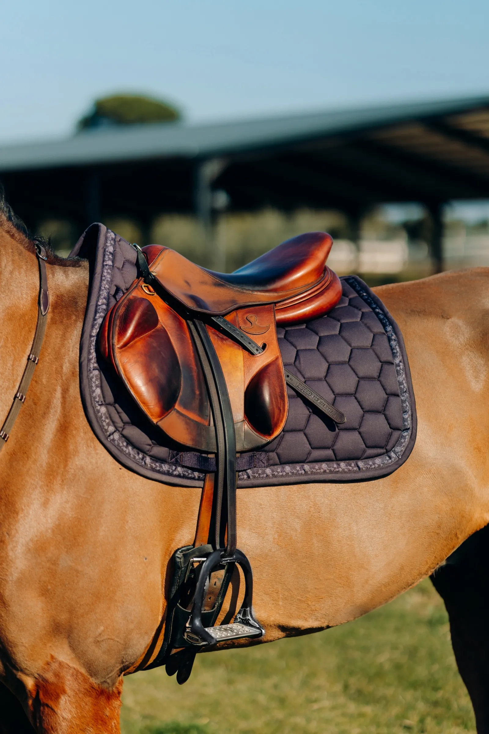 Best * Kaitlin Yleissatulahuopa Kukallisilla Tereilla After Dark Brown