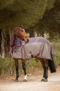 Best * Kenya Hyonteisloimi Kaulakappaleella Rhubarb Dark Red