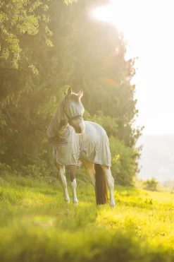 New * La Pampa Karpassetti Harmaa