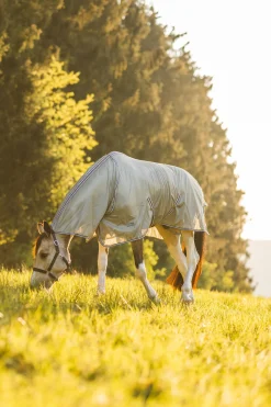 New * La Pampa Karpassetti Harmaa