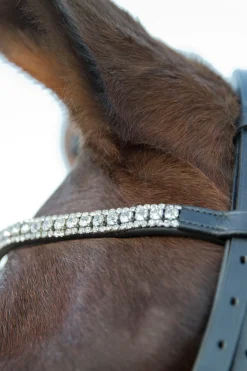 * Laelia Kankisuitset Musta