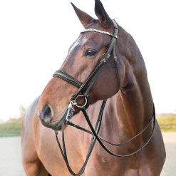 Online * Laelia Ohjat Musta