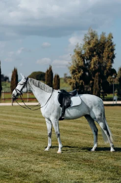 New * Limited Edition Viilentava Yleissatulahuopa Pebble Grey