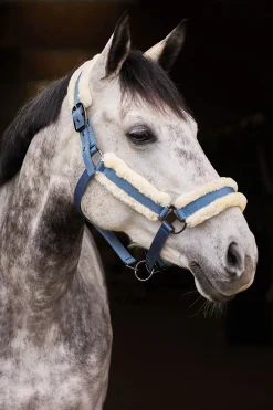 Hot * Marquess Riimu Tekoturkisvuorauksella Aegean Blue