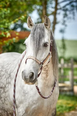 Best * Monster Poniriimu Fig