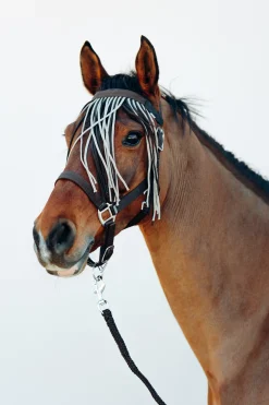 Clearance * Moreton Riimu, Riimunnaru & Korvahuppu After Dark Brown