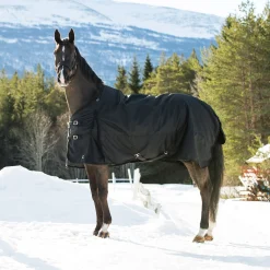 Clearance * Nevada Heavyweight -Ulkoloimi, 400 G Musta