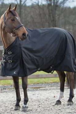 Sale * Nevada -Ulkoloimi Musta