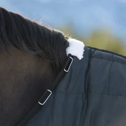 Clearance * Nevada -Valikausitalliloimi, 100 G Musta