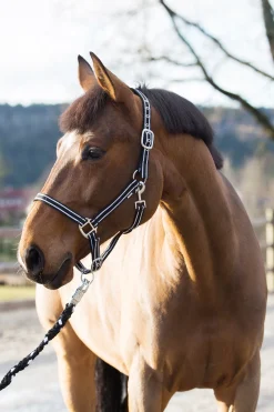 Clearance * Nice -Riimu Musta