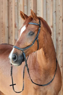 Online * Orlando Combined Kuolaimettomat Suitset Musta