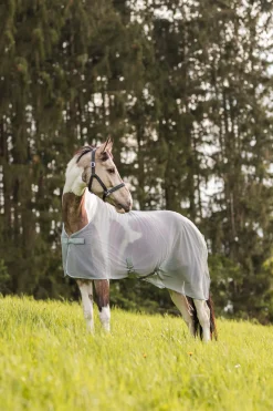 Hot * Orleans Karpasloimi High Rise Grey