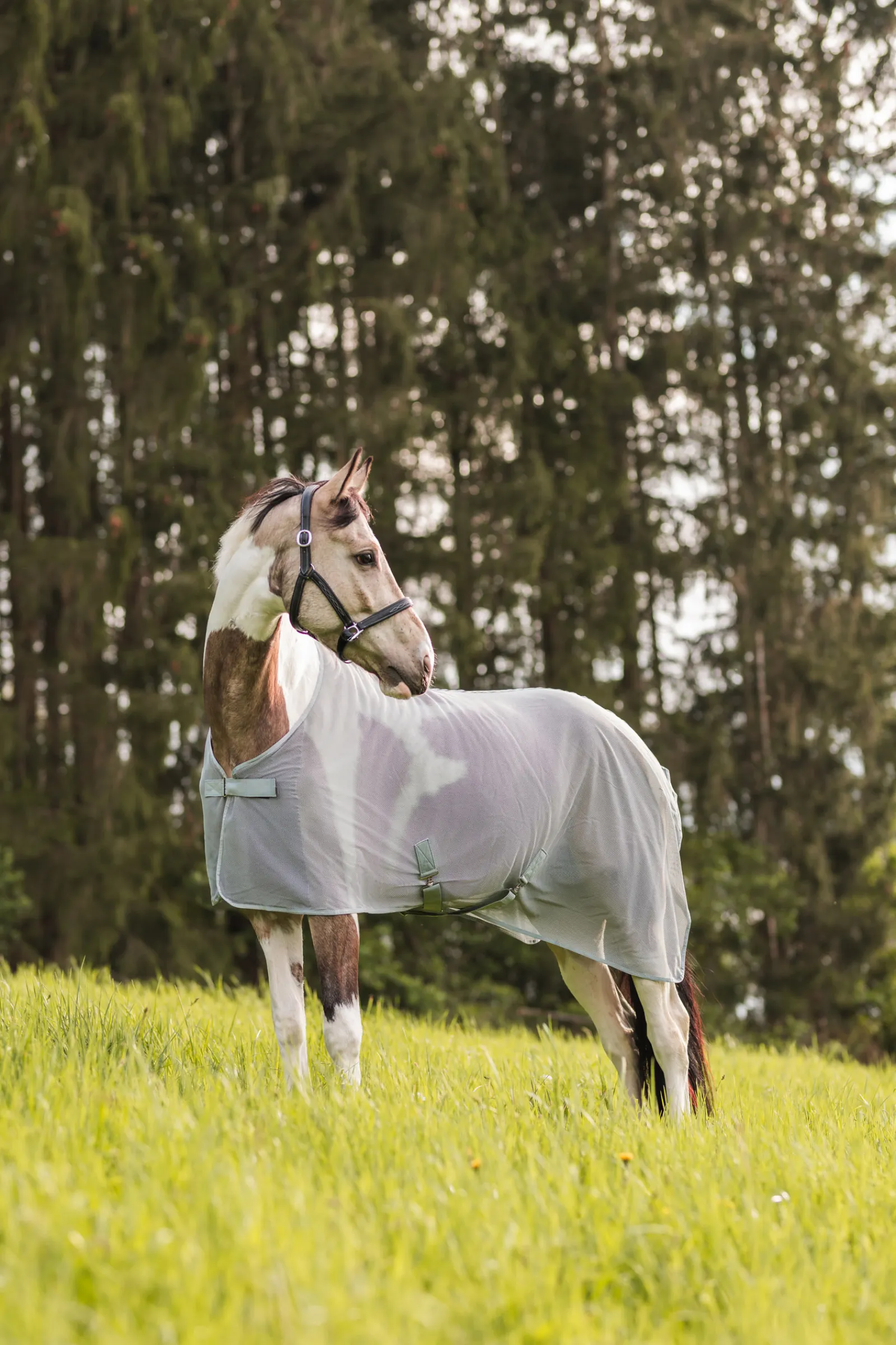 Hot * Orleans Karpasloimi High Rise Grey