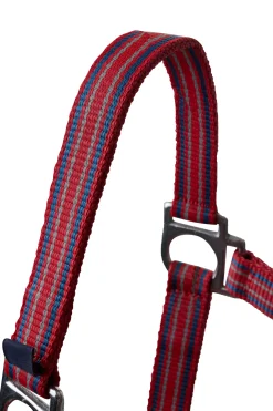 Online * Oscilating Riimu Tomato Puree