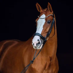 Clearance * Positano Hannover Anatomiset Suitset Musta