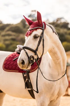 Clearance * Safari Clincher Suitset Black