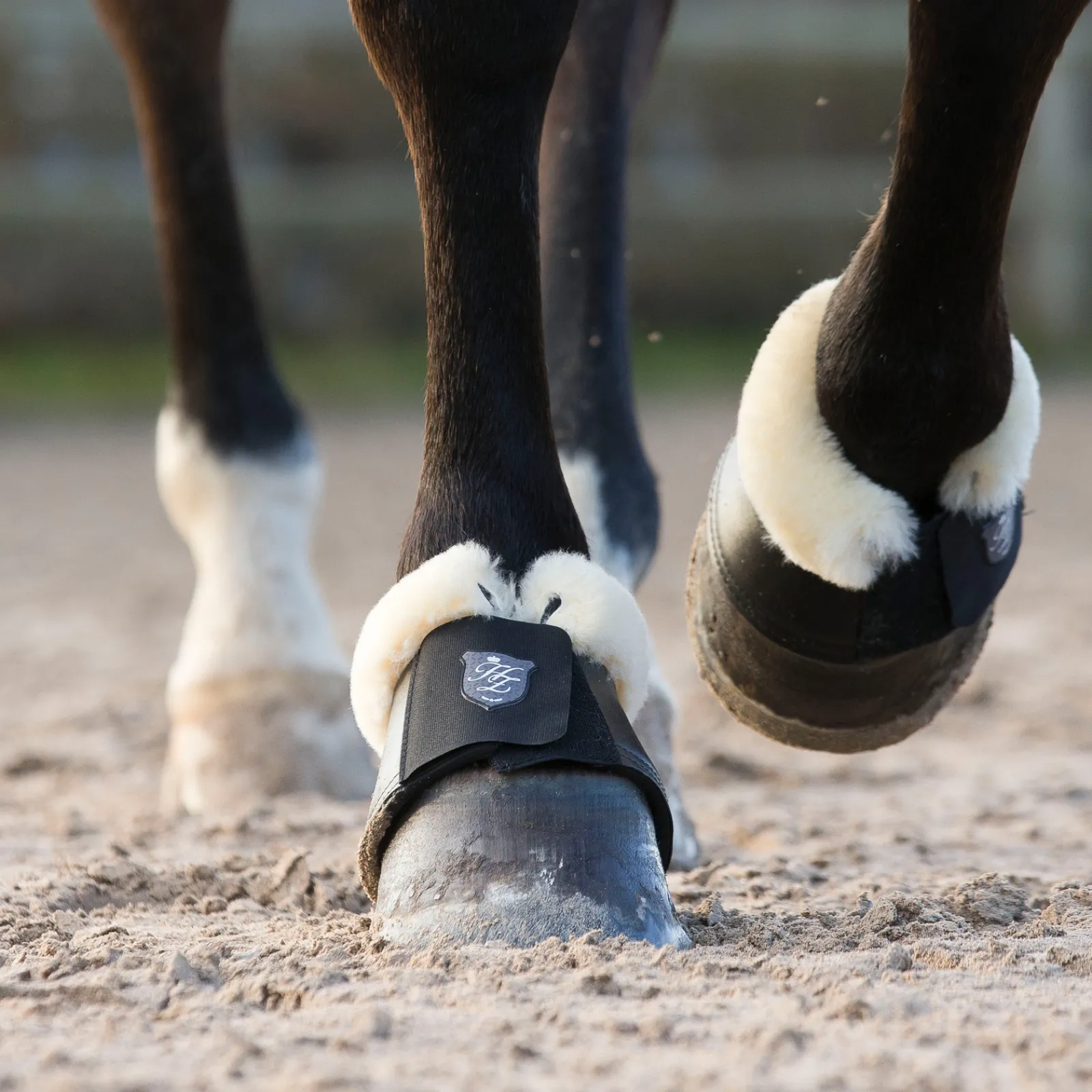 * Salerno Putsit Musta