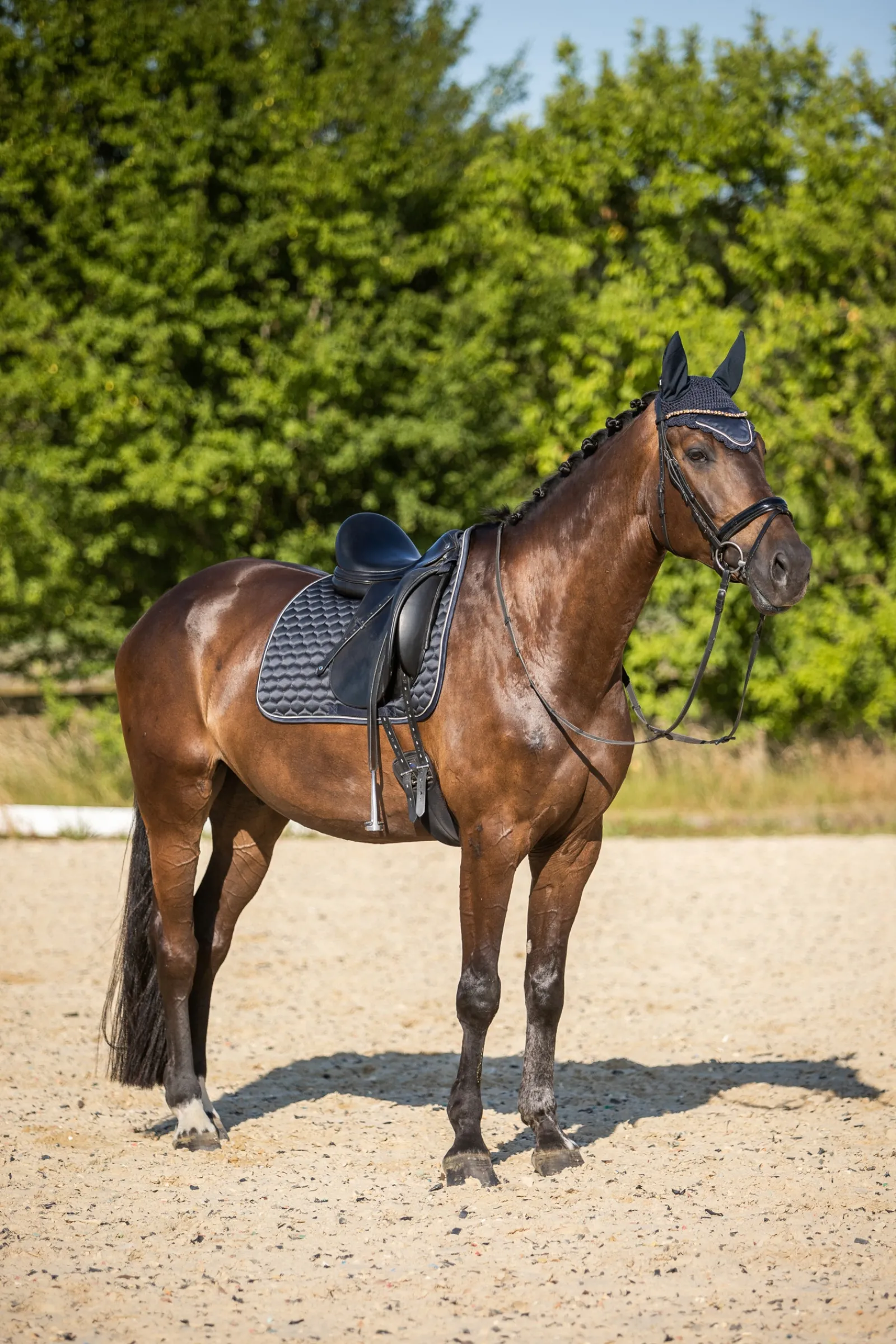 Hot * Sandnes Koulusatulahuopa Dark Navy