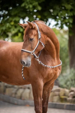 Online * Sandnes Riimu Ja Riimunnaru Dark Navy/ Peyote Beige