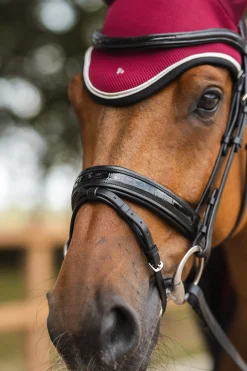 * Smoky Twilight Anatomiset Suitset Black