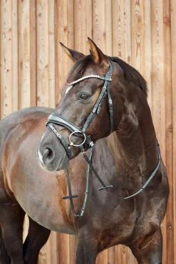 Best * Somerset Anatomiset Suitset Musta