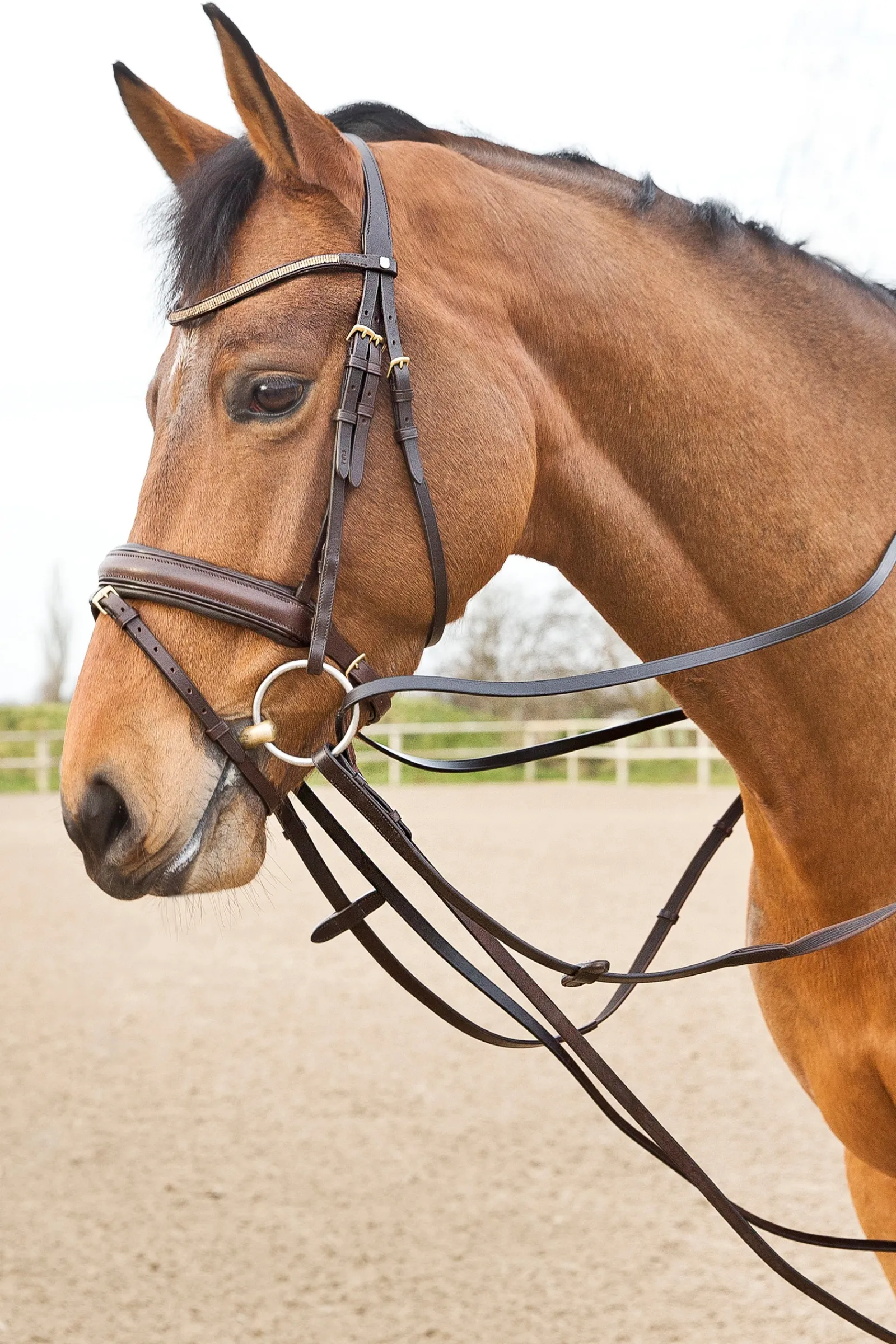 Hot * Sparta Nahkaiset Gramaanit Tummanruskea