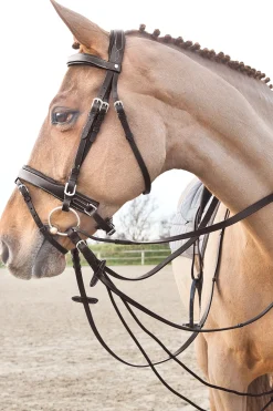 Online * Sparta Nailon/Nahkagramaanit Tummanruskea