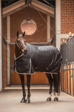 * Sudbury 2-In-1 Ulkoloimi, 100 G, 200 G Musta