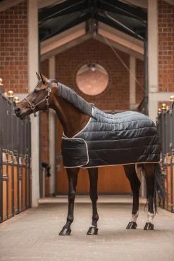 * Sudbury 2-In-1 Ulkoloimi, 100 G, 200 G Musta