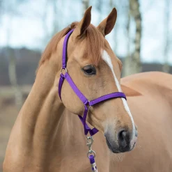 New * Supreme Riimu Violetti