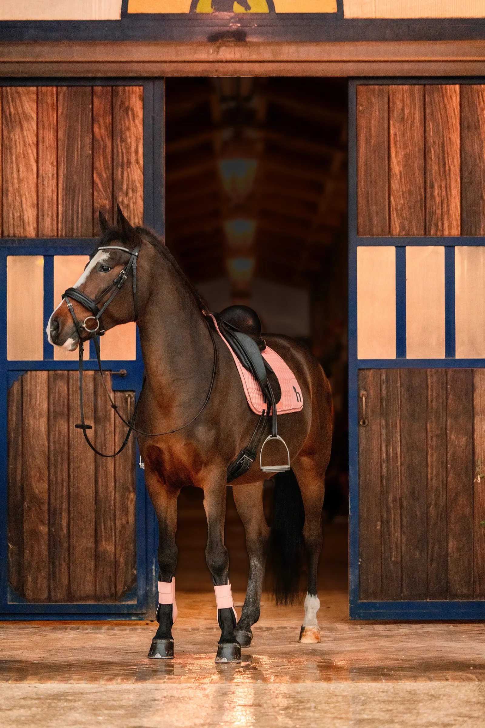 Outlet * Trixi Pony Yleissatulahuopa Shrimp Pink