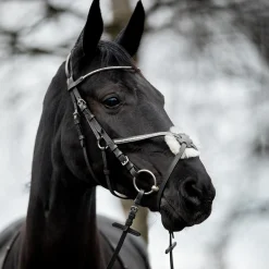 Hot * Valencia Meksikolaiset Suitset Musta