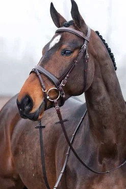 Clearance * Venice -Suitset Nahkaohjat Tummanruskea